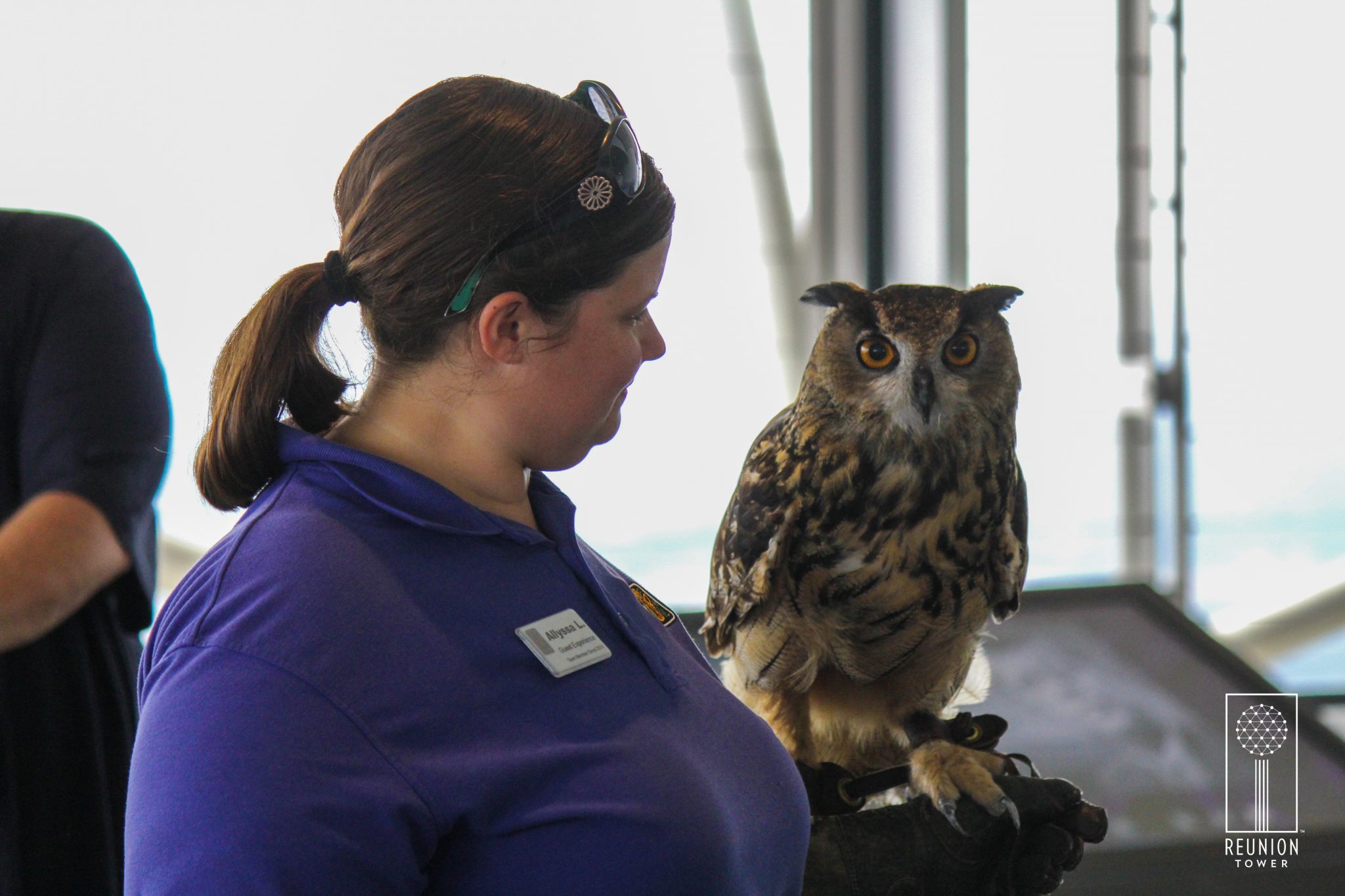 Animal Encounters