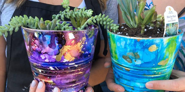 Inks & Succulents