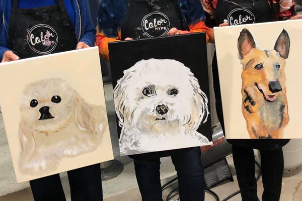 Paint Your Pet