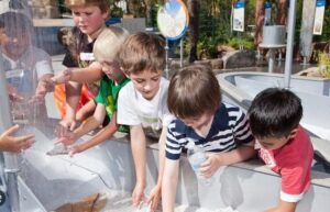 Children playing in the Children’s Garden
